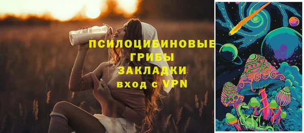 бошки Арсеньев