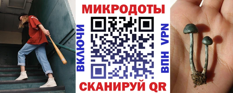 Псилоцибиновые грибы Psilocybe  купить наркотики цена  mega вход  Георгиевск 