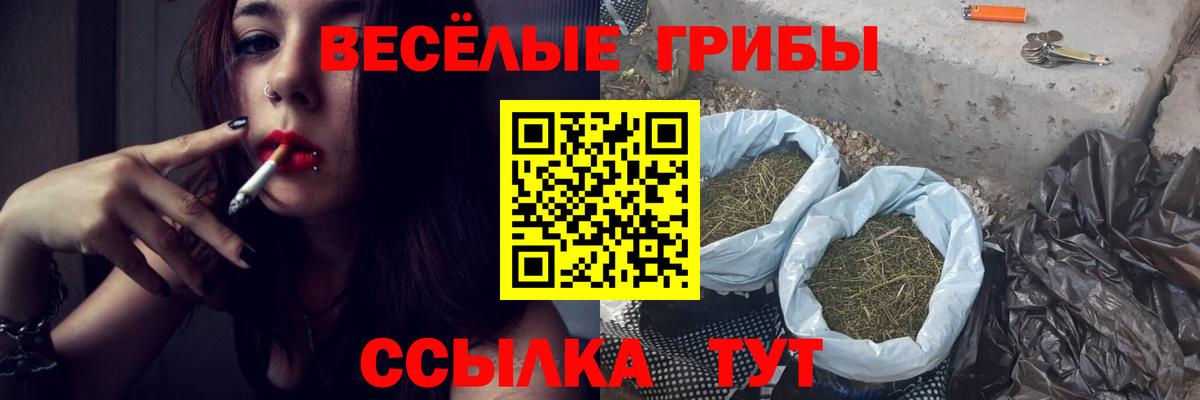 Галлюциногенные грибы Cubensis  Вход с VPN  Георгиевск 
